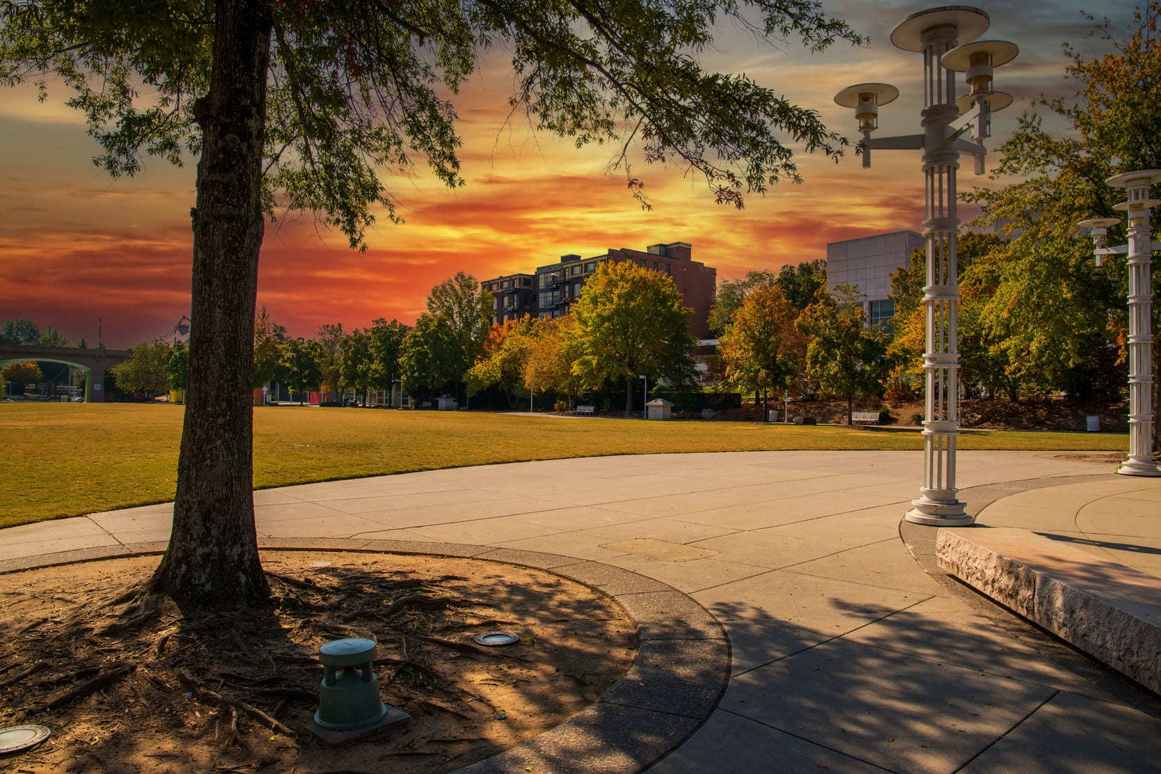 Sunset at a park in Knoxville, Tennessee